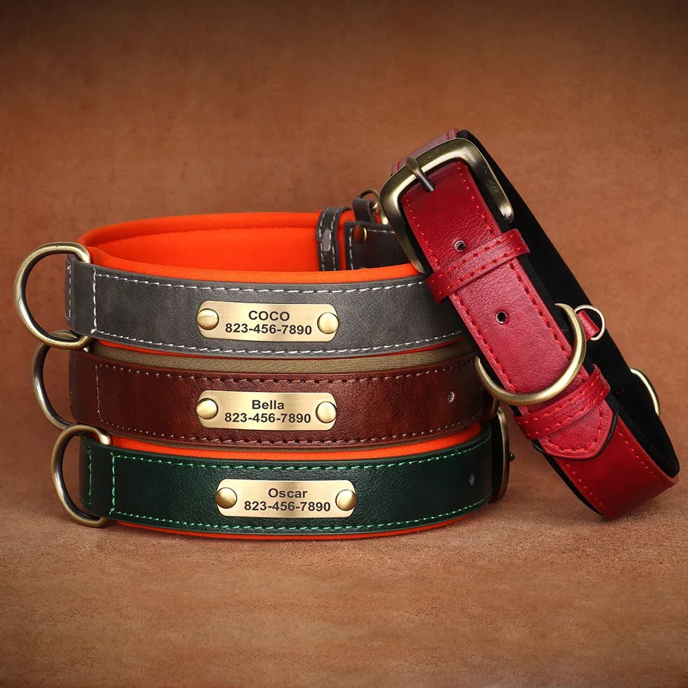 Collar Leash with Free Engraved Nameplate