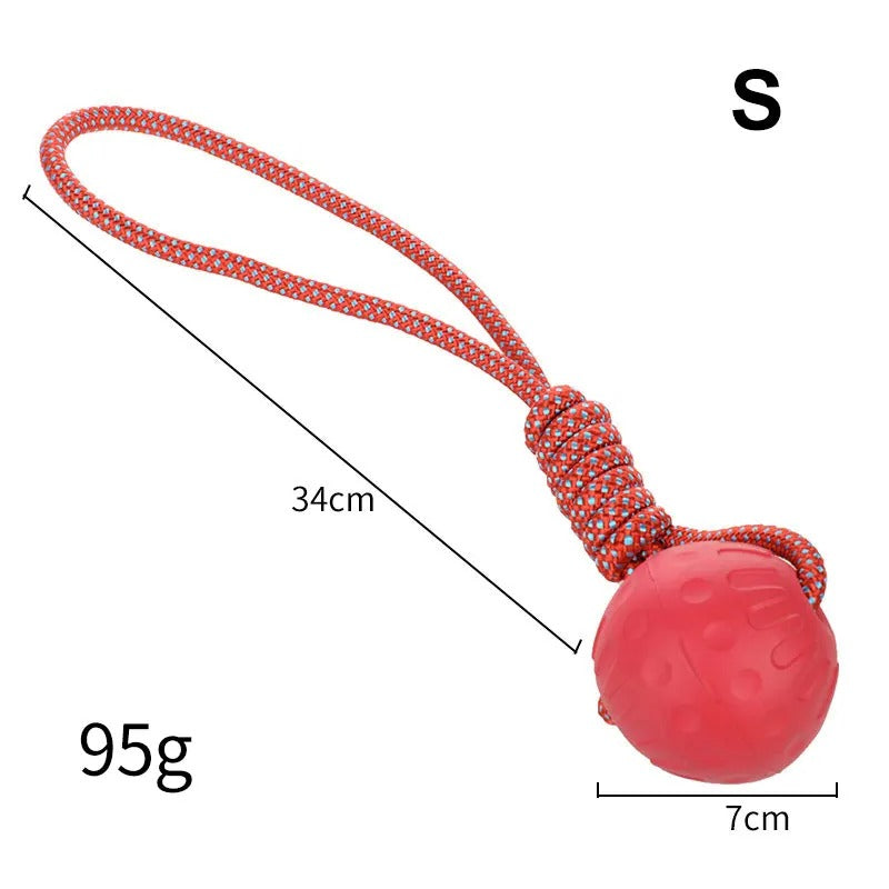 Durable Ball Toy for Dogs