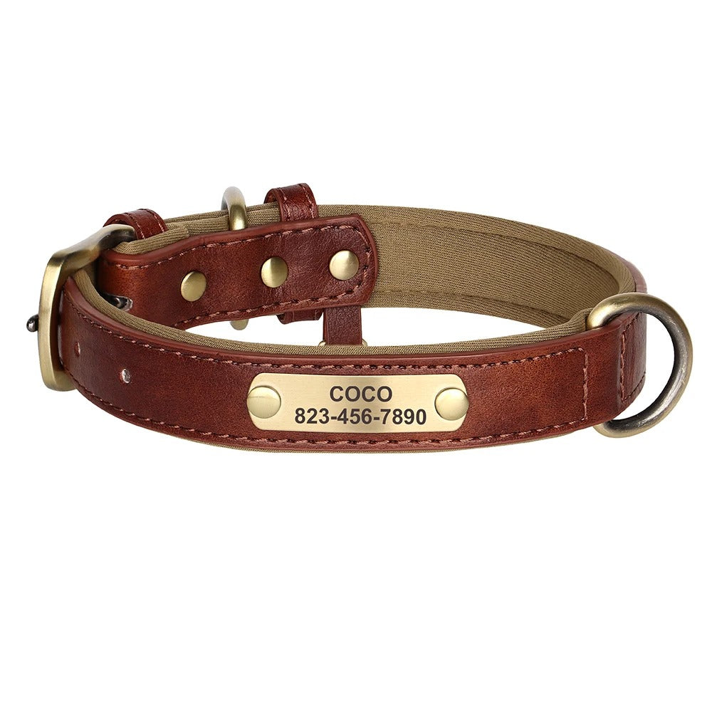 Collar Leash with Free Engraved Nameplate